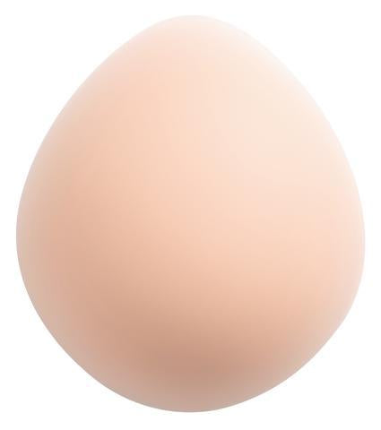 Amoena Partial Breast Form/Prosthesis 227 Balance Natura Thin Oval