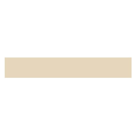 NewGel+ strips for scars 60cm Abdomen/Extremity Beige NG-164