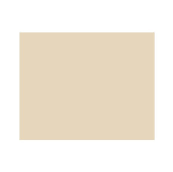 NewGel+ Sheet for scars  12.5cm x 15cm Beige NG-101